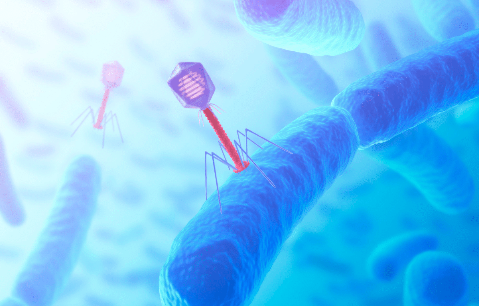 Phages I